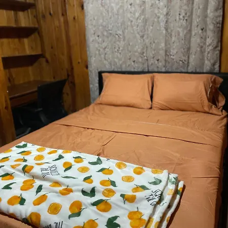 Terrace Guest House Tampa Extérieur photo